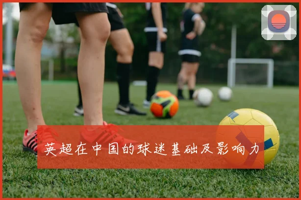 英超在中国的球迷基础及影响力