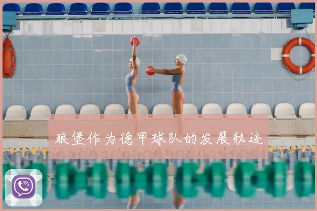 狼堡作为德甲球队的发展轨迹